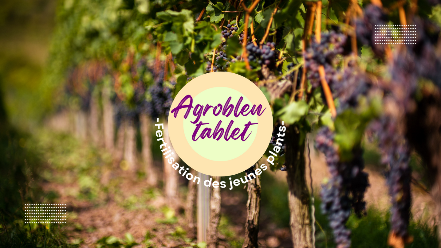 Pourquoi choisir l'engrais Agroblen Tablet ? 